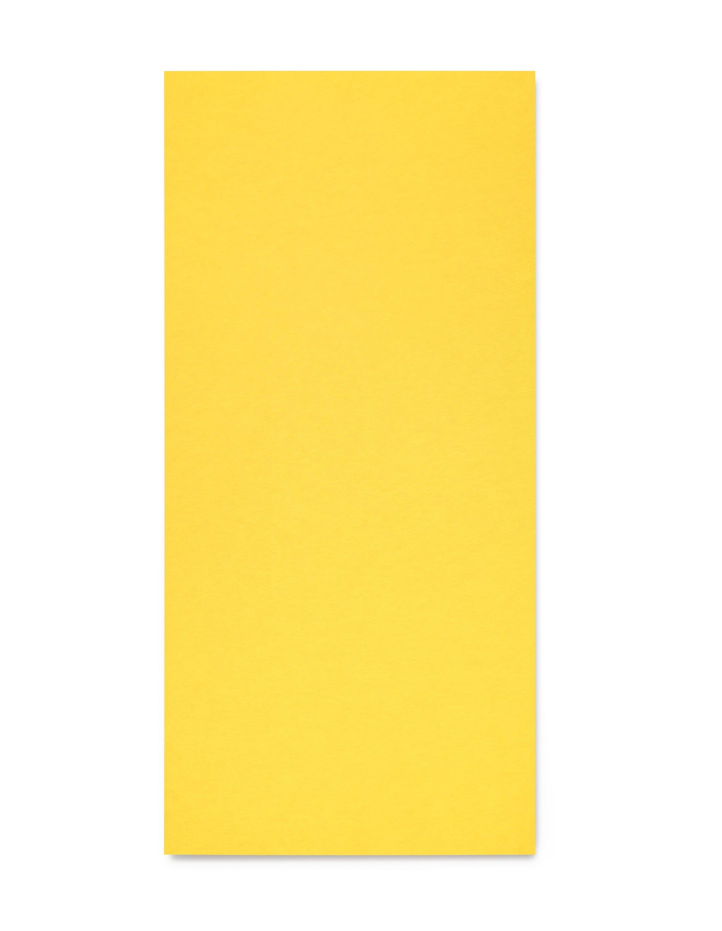 Profileless acoustic wall panel